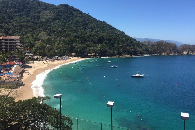 1 to 6 Passengers Vallarta Private City Tour - Getting Picked Up Smoothly: Port, Hotel, and a Real Driver-Guide