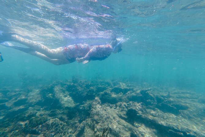2-Hour Snorkeling in Two Spots of Tulum's Reef - Stop Two: Coral Reef Energy and Lots of Fish Watching