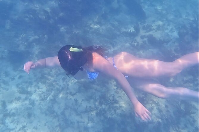 2-Hour Snorkeling in Two Spots of Tulum's Reef - Ruins Views: Why Passing the Archaeological Zone First Is a Smart Start