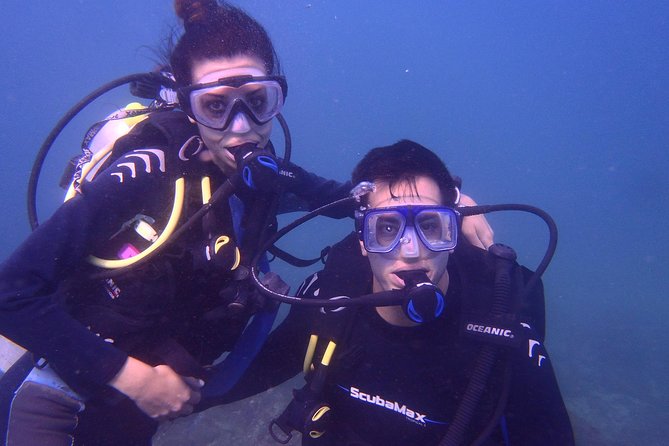 2 Tank Boat Dives for Certified Divers - Gear, Certification Checks, and Why This Feels Professional