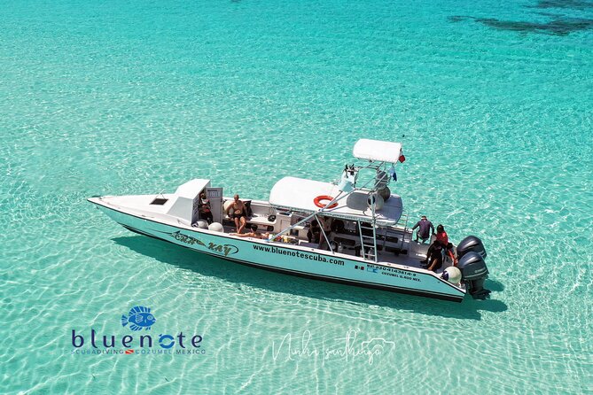 2 Tank Morning Dive: Scuba Diving in Cozumel - Key Things I’d Watch For