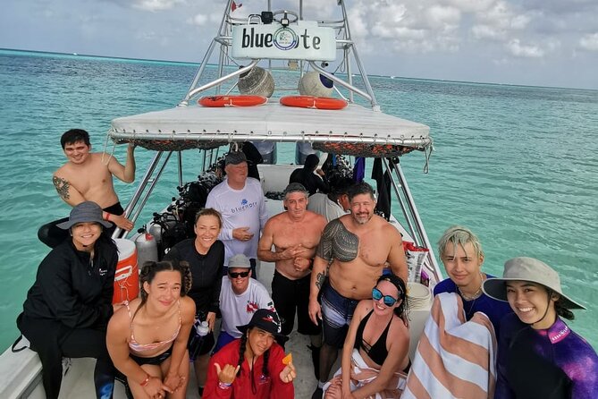 2 Tank Morning Dive: Scuba Diving in Cozumel - The Surface Interval: Lunch That Keeps You Focused