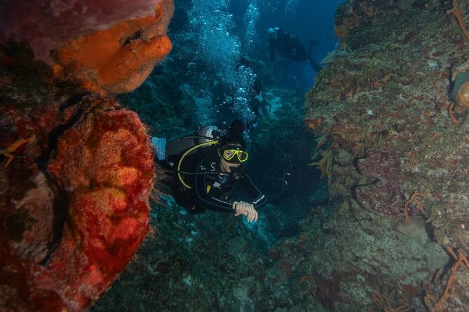 2 Tank Morning Dive: Scuba Diving in Cozumel - Price and Value: What $160 Really Covers (and What Costs Extra)