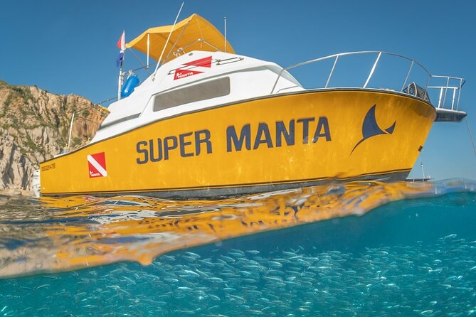 2-Tank Scuba Dive in Cabo San Lucas Reserve for Certified Divers - Tank One Underwater: Sea Cliffs, Pelican Rock, and Sea Lions