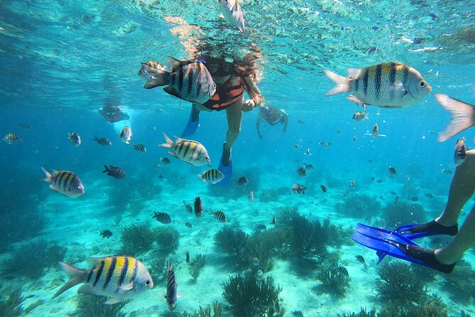 3 Hours VIP Semiprivate Tour Isla Mujeres Full Snorkeling Experience - Key Points You’ll Care About Before Booking
