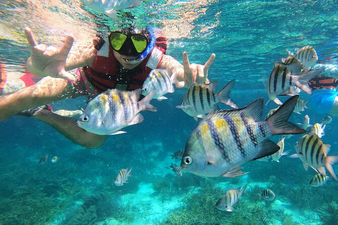 3 Hours VIP Semiprivate Tour Isla Mujeres Full Snorkeling Experience - Your Reef Route: Lighthouse Reef to Sac Bajo, MUSA, and Manchones