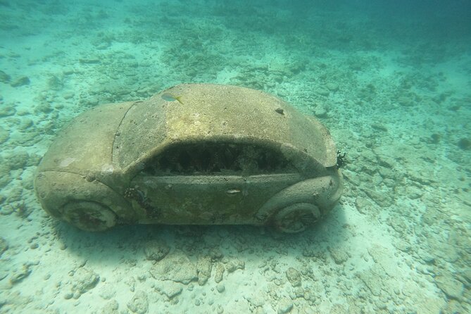 3 Hours VIP Semiprivate Tour Isla Mujeres Full Snorkeling Experience - How the Guides Level Up the Snorkeling