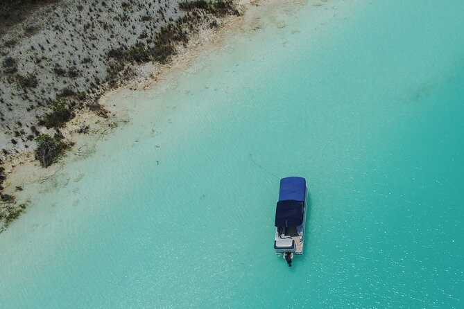 3 hr Pontoon Tour with access to Beach Club and Free Kayaks - Guides make or break lagoon tours, and this one gets high marks