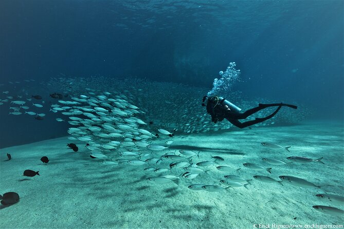 3-Tank Scuba in Marine Reserve and Corridor for Certified Divers - Why this Cabo combo works when you have just one day