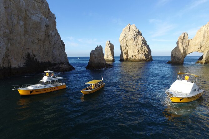 3-Tank Scuba in Marine Reserve and Corridor for Certified Divers - Tank 3 at Lands End and Pelican Rock: seals, sharks, turtles, and sand falls