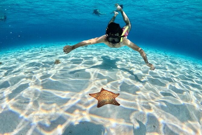 4 Hour Cozumel Turtle Sanctuary Experience on a Luxury Catamarán - Turtle Sanctuary Snorkel: Green Turtles in Their Natural Habitat