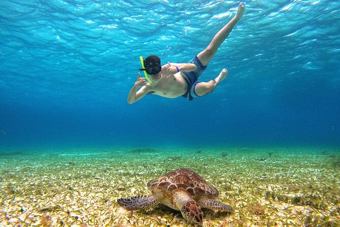 4 Hour Cozumel Turtle Sanctuary Experience on a Luxury Catamarán - Cielito Sandbank Stop: Snacks, Drinks, and Shallow-Water Vibes