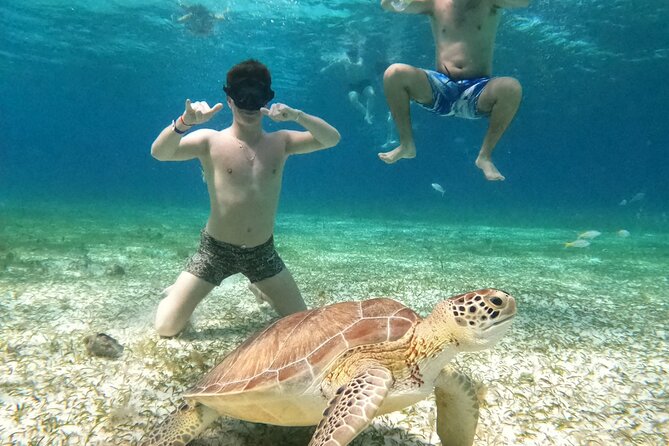 4 Hour Cozumel Turtle Sanctuary Experience on a Luxury Catamarán - Onboard Experience: Food, Drinks, and the Deck Bathroom Truth