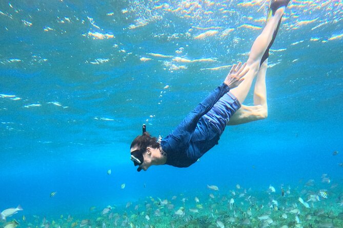 4 Hour Cozumel Turtle Sanctuary Experience on a Luxury Catamarán - Snorkeling Gear, Comfort, and Reef-Friendly Sunscreen Rules