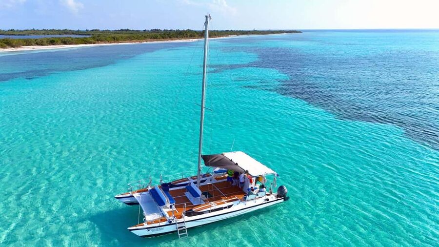 4 Hour Turtle Sanctuary Experience on a Luxury Catamarán - Key Highlights at a Glance