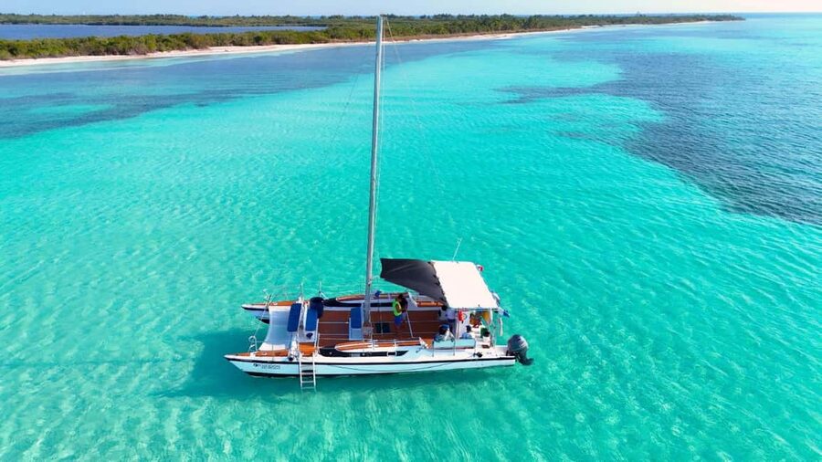 4 Hour Turtle Sanctuary Experience on a Luxury Catamarán - A 4-Hour Cozumel Catamaran Plan That Packs Big Snorkel Value