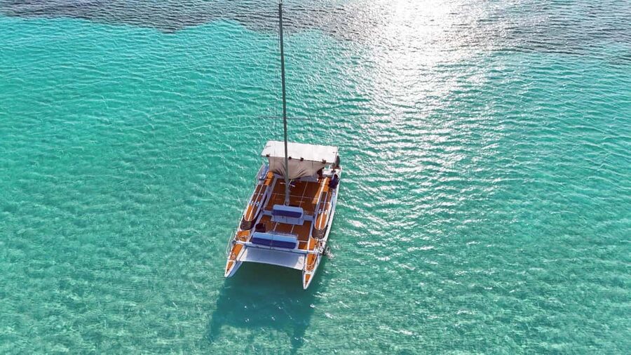 4 Hour Turtle Sanctuary Experience on a Luxury Catamarán - Luxury Comfort Onboard: Why the Catamaran Details Matter