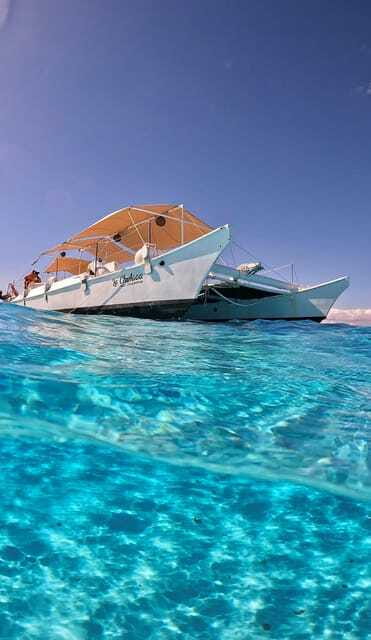 4 Hour Turtle Sanctuary Experience on a Luxury Catamarán - Green Turtle Sanctuary: Snorkel With Calm Wildlife in a Protected Setting