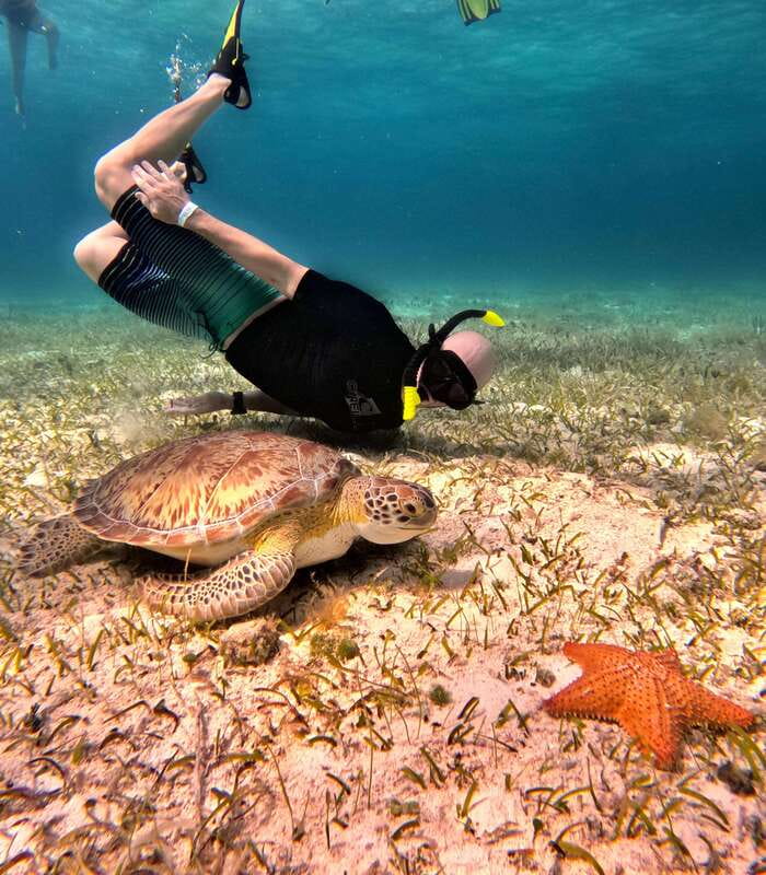 4 Hour Turtle Sanctuary Experience on a Luxury Catamarán - Who Should Book, and Who Should Skip This Boat and Water Day