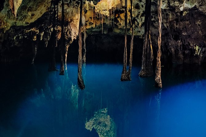 4-in-1 Cenote Tour Guided Experience with Breakfast, Lunch & Wine - Iik’ (Wind) cenote: zip lines and a possible cliff jump