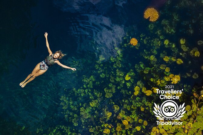4-in-1 Cenote Tour Guided Experience with Breakfast, Lunch & Wine - Jungle picnic lunch with wine and beer, plus the snacks that keep you going