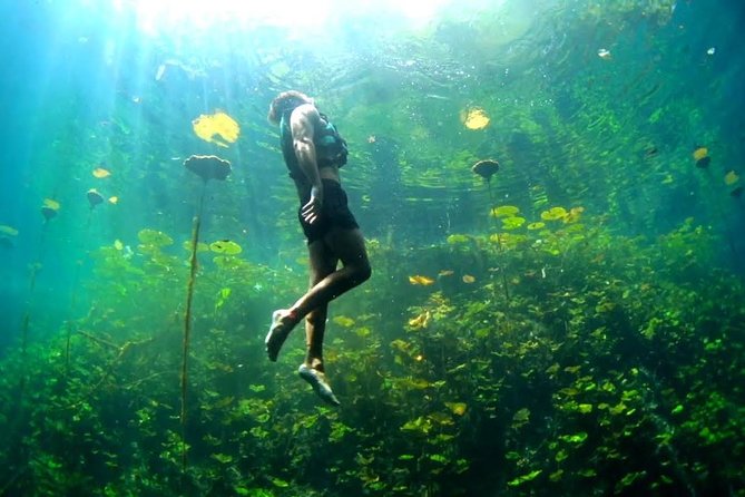 4-in-1 Cenote Tour Guided Experience with Breakfast, Lunch & Wine - Breakfast, Mayan legend, and the alux spirit story before you gear up