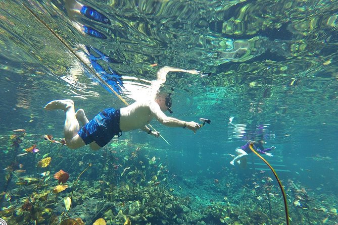 4 Private Cenotes, Zip-Lines, Canoes & Mayan Village with Delicious Lunch - Four Private Cenotes: Snorkeling, Warm Water, and Mosquito Reality