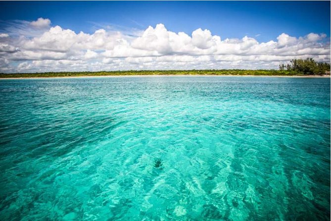 4H 42' Azimut Yacht All-Inclusive from Tulum & Playa del Carmen. - Homemade ceviche lunch and unlimited drinks: the value check that makes this tour work