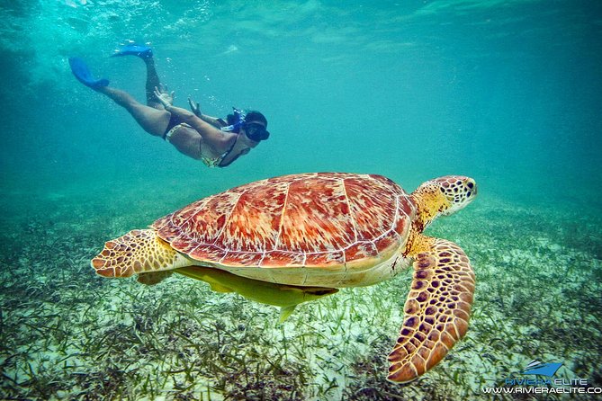 4H Private 38'Catamaran All-Inclusive in Tulum & Playa del Carmen - Snorkel Gear Reality Check, and a Smart Backup Plan
