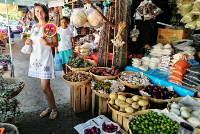 4Hrs Small Group Half Day City Tour with Lunch at High Divers