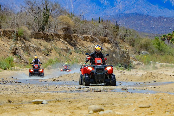 4x4 ATV Adventure with Tequila Tasting and Mexican Buffet Lunch - Tequila and mezcal tasting after lunch, and what to expect from it