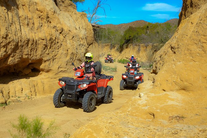 4x4 ATV Adventure with Tequila Tasting and Mexican Buffet Lunch - Price and the real fees that show up on checkout day