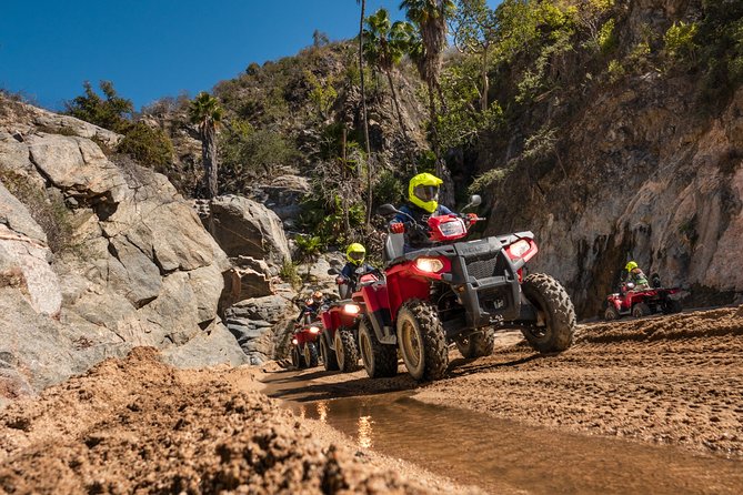 4x4 ATV Adventure with Tequila Tasting and Mexican Buffet Lunch - How the group size and ride pace affect comfort for first-timers