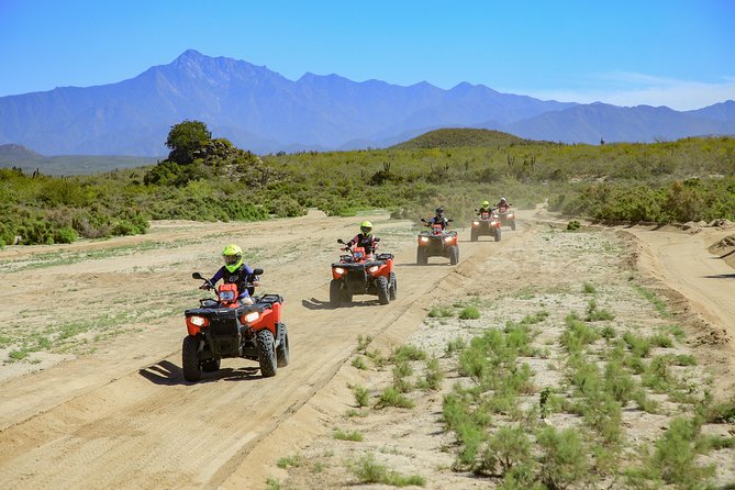 4x4 ATV Adventure with Tequila Tasting and Mexican Buffet Lunch - Who this Cabo ATV plus buffet tour is best for