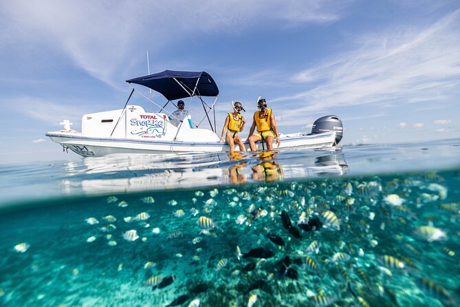 5-in-1 Cancun Snorkeling: Turtles, Reef, Musa, Shipwreck, Cenote - Meeting, Getting Ready, and What “Small Group” Feels Like