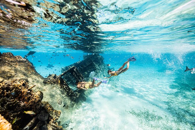 5-in-1 Cancun Snorkeling: Turtles, Reef, Musa, Shipwreck, Cenote - MUSA Underwater Art: Seeing Statues Where You Would Not Expect Them