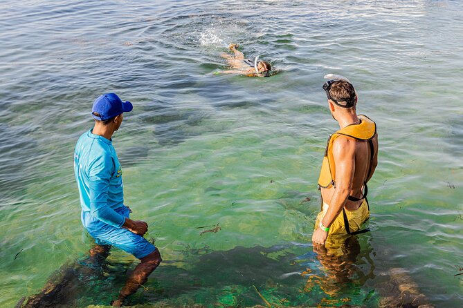 5-in-1 Cancun Snorkeling: Turtles, Reef, Musa, Shipwreck, Cenote - Shipwreck Snorkeling: The Stop That Usually Gets People Smiling