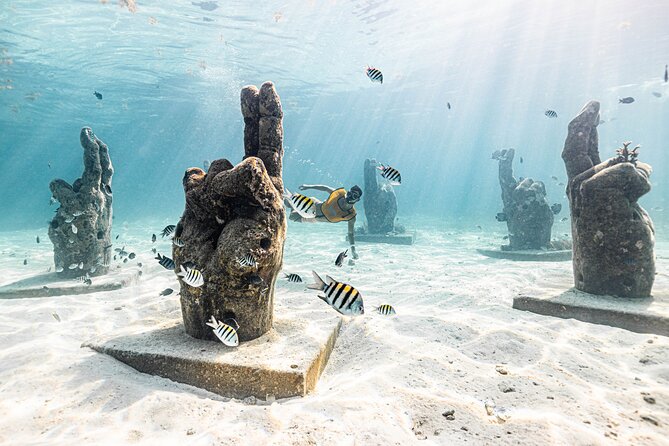 5-in-1 Cancun Snorkeling: Turtles, Reef, Musa, Shipwreck, Cenote - Cenote Snorkeling in the Yucatan: What This Finish Feels Like