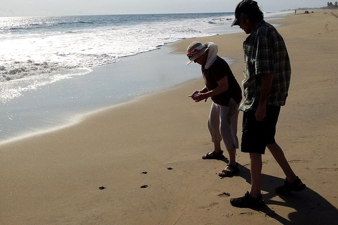 6 Hour Fun-Filled Tour Perfect for Cruise Travelers & Hotel Stays - Key things that make this Acapulco tour work