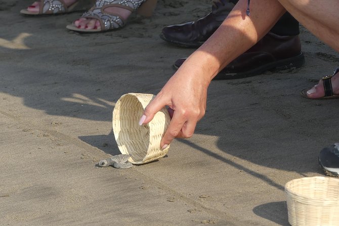 6 Hour Fun-Filled Tour Perfect for Cruise Travelers & Hotel Stays - Caleta y Caletilla: lunch-on-your-terms plus internet