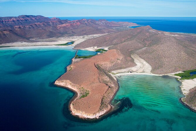 Adventure to Espiritu Santo Island: Snorkel with Sea Lions and Beach - Why Los Islotes Sea Lions Feel Like the Main Event in La Paz