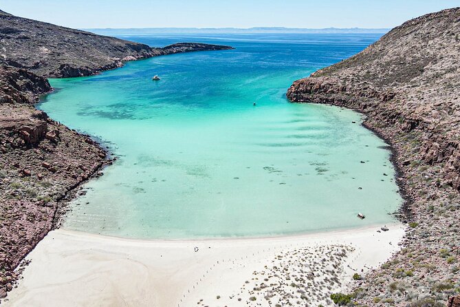 Adventure to Espiritu Santo Island: Snorkel with Sea Lions and Beach - The Los Islotes Snorkel: Sea Lion Etiquette, Safety, and Real Interaction