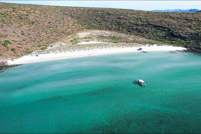 Adventure to Espiritu Santo Island: Snorkel with Sea Lions and Beach - More Than Sea Lions: Mangroves, Bird Colonies, and the Island Geology