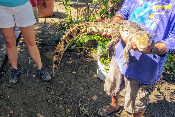 Afro-Mex Village Experience -Horseback Ride -Turtle Hatch & Crocs - Key points before you go