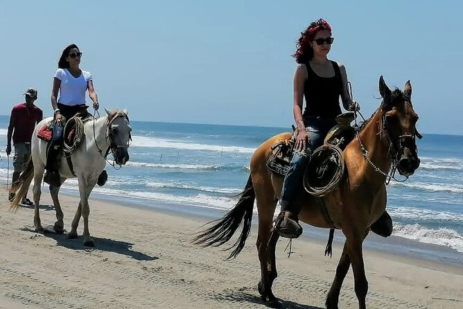 Afro-Mex Village Experience -Horseback Ride -Turtle Hatch & Crocs - Riding Horses on Playa de Barra Vieja: Why This Beach Matters