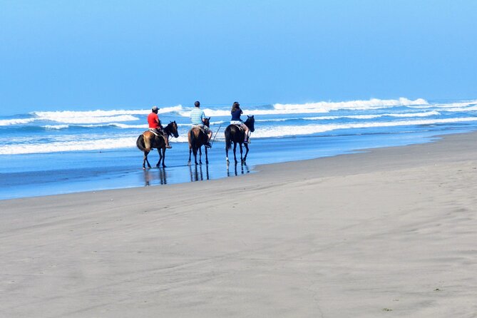 Afro-Mex Village Experience -Horseback Ride -Turtle Hatch & Crocs - Tour Logistics in Acapulco: Pickup, Group Size, and Timing That Works