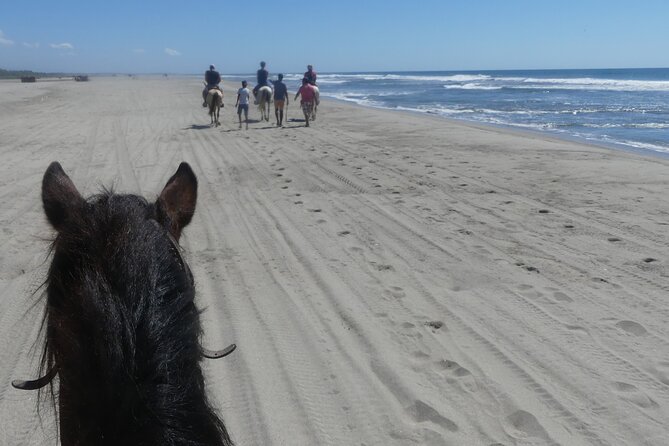Afro-Mex Village Experience -Horseback Ride -Turtle Hatch & Crocs - Price and Value: What $120.99 Buys You, and What You Still Pay For