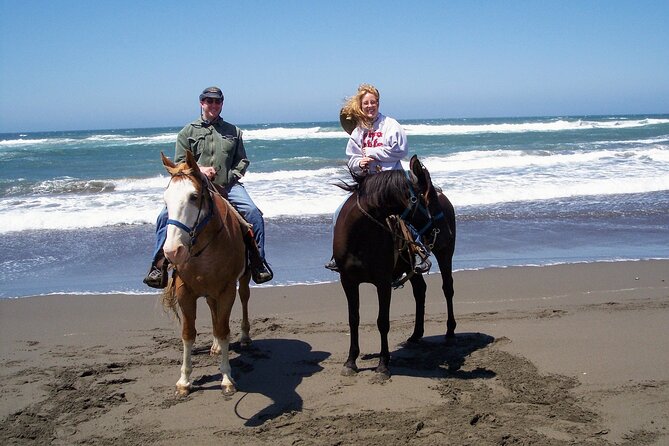 Afro-Mex Village Experience -Horseback Ride -Turtle Hatch & Crocs - Should You Book This Tour?
