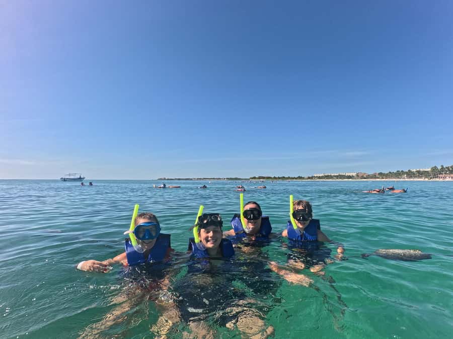 Akumal Beach: Ecologic Turtle Snorkeling Tour & Gopro Photos - The 75 minute turtle circuit: how you spot green turtles and share the water