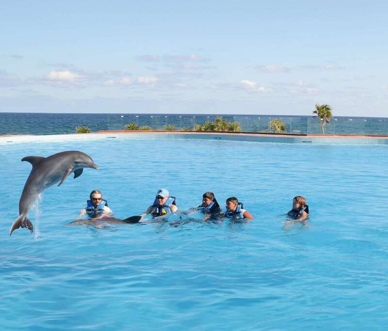 Akumal: Dolphin Encounter - The 55-minute flow, from intro to handshake time